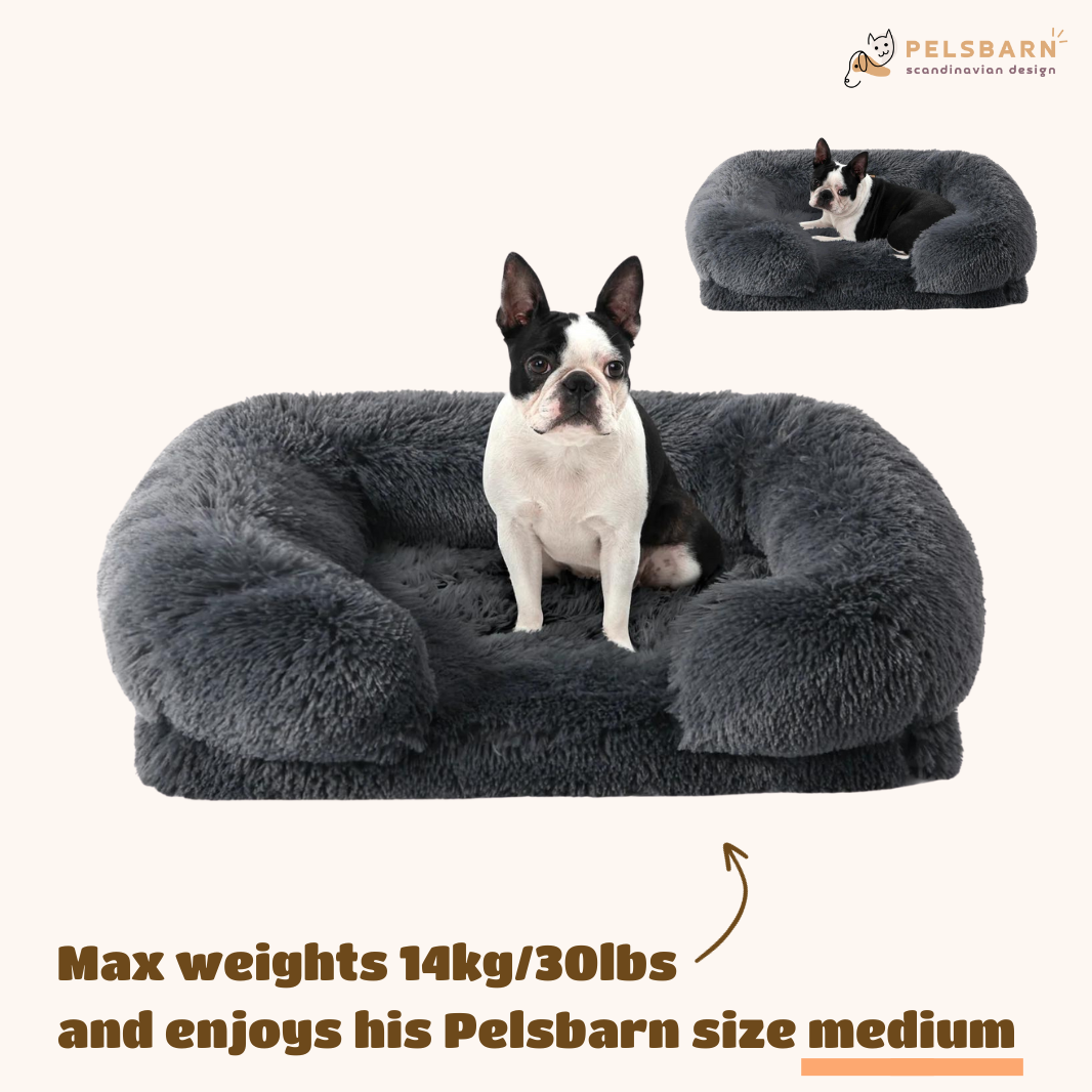 Orthopedic Calming Dog Bed