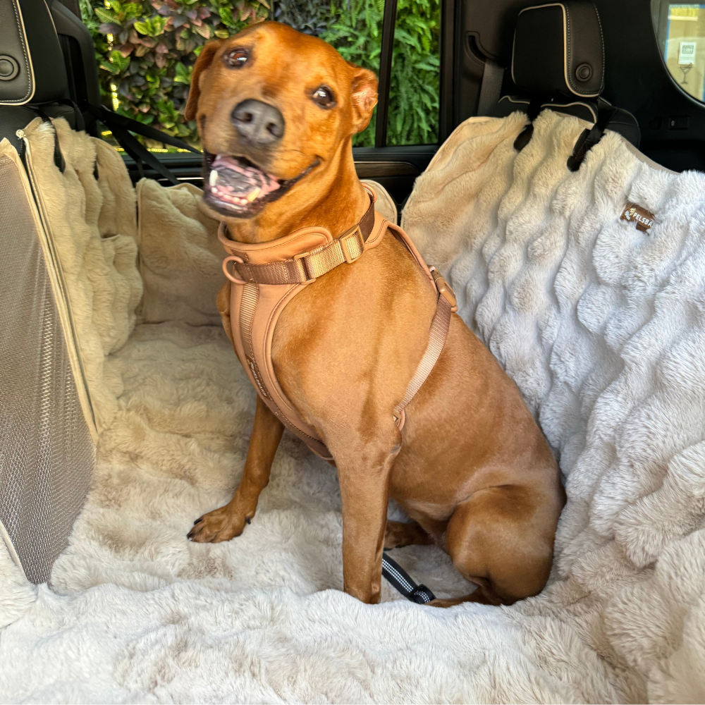 Luxurious Full Backseat Protector + Free Calming Blanket