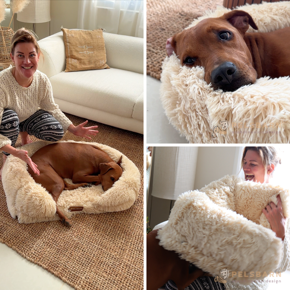 Orthopedic Calming Dog Bed