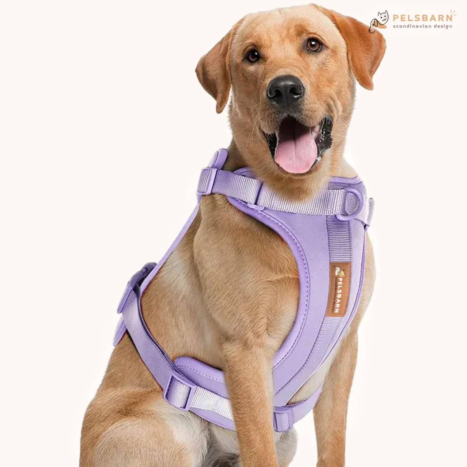 Pelsbarn No-Pull Harness Walk Kit